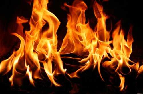 В Марий Эл на пожаре погибла домашняя скотина