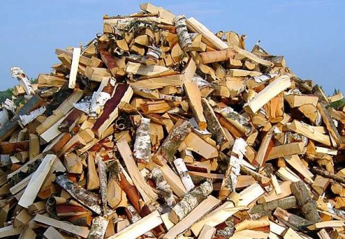 Марийский рынок продажи древесины станет прозрачнее