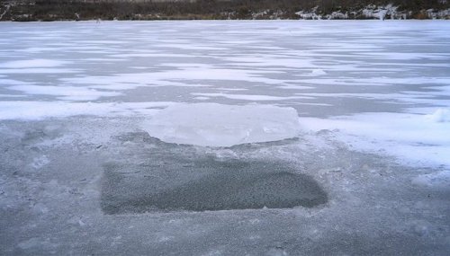 � ��������������� �������� ���� �� ���� ����� ����������������