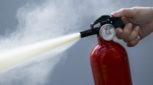 � ����� �� �� ���� ��������� �����