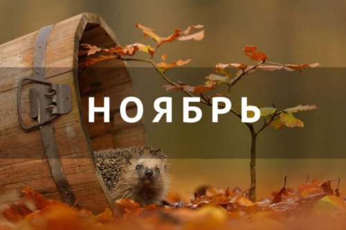 ��� ���������� � ����� ������� � 1 ������?