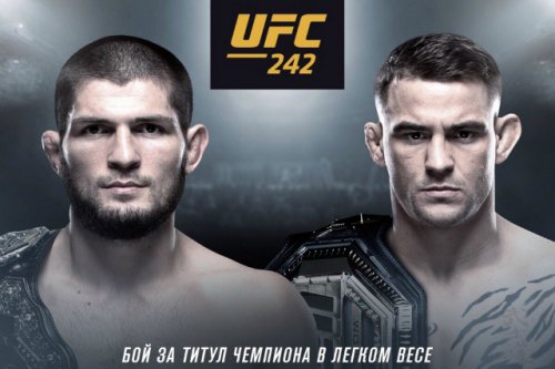    UFC 242:  vs       UFC    Wink