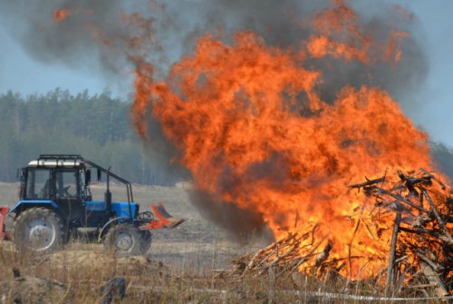 С начала пожароопасного сезона в лесах Марий Эл произошло 67 пожаров
