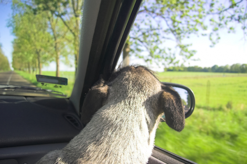 � ����� �� ��� ��������� �������� ����� ���������