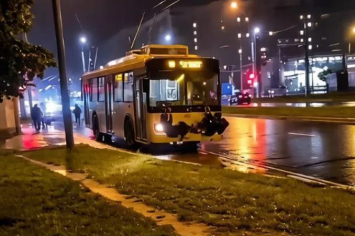 � ������-��� �������� ����������-��������� ���������� � ���������������